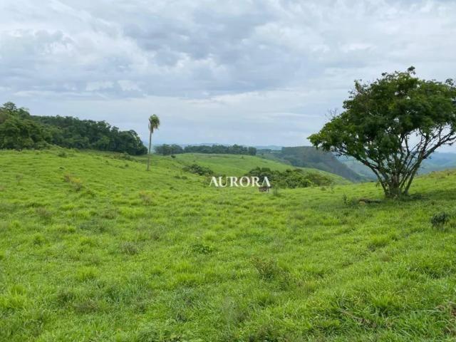 Fazenda venda em Região Geográfica Imediata de Ivaiporã, Cândido de Abreu