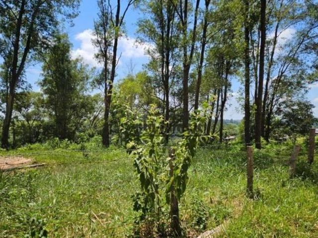 Sítio e chácara venda em Bofete