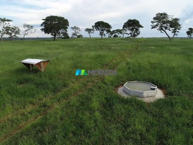 Fazenda venda em Região Geográfica Imediata de Uberlândia, Campina Verde