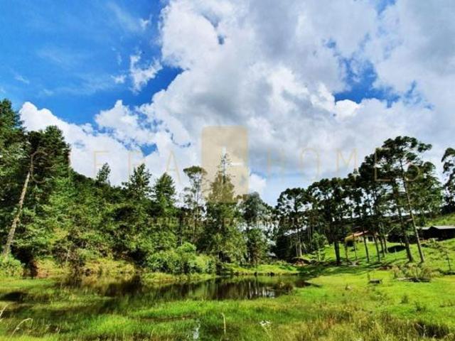 Sítio e chácara venda em Região Imediata de Cruzeiro, Região Metropolitana do Vale do Paraíba e Litoral Norte