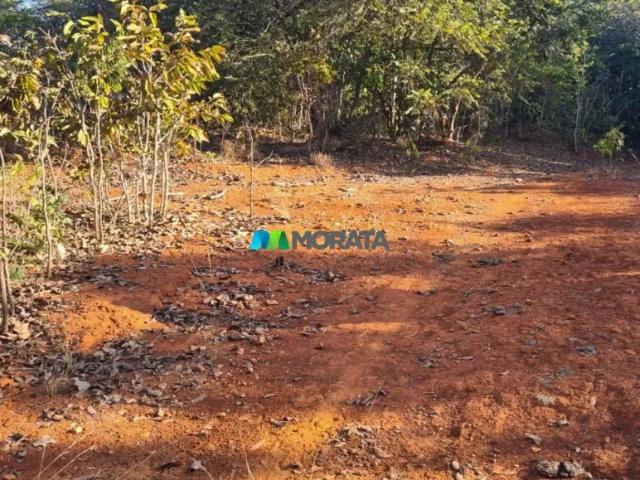 Fazenda venda em Região Geográfica Imediata de Curvelo, Curvelo