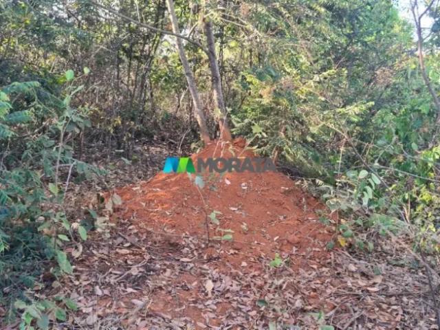 Fazenda venda em Região Geográfica Imediata de Curvelo, Curvelo