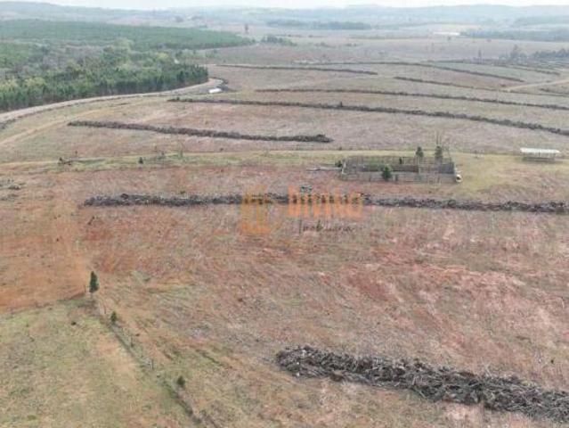 Sítio e chácara venda em Tatuí, São Paulo