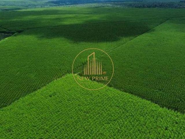 Sítio e chácara venda em Região Geográfica Imediata de Unaí, Região Integrada de Desenvolvimento do Distrito Federal e Entorno