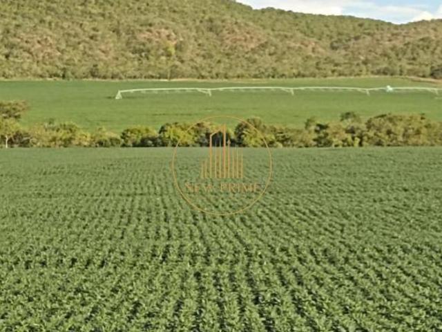 Sítio e chácara venda em Unaí, Região Geográfica Intermediária de Patos de Minas