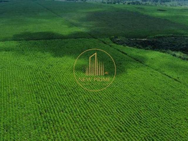 Sítio e chácara venda em Região Geográfica Imediata de Unaí, Região Integrada de Desenvolvimento do Distrito Federal e Entorno