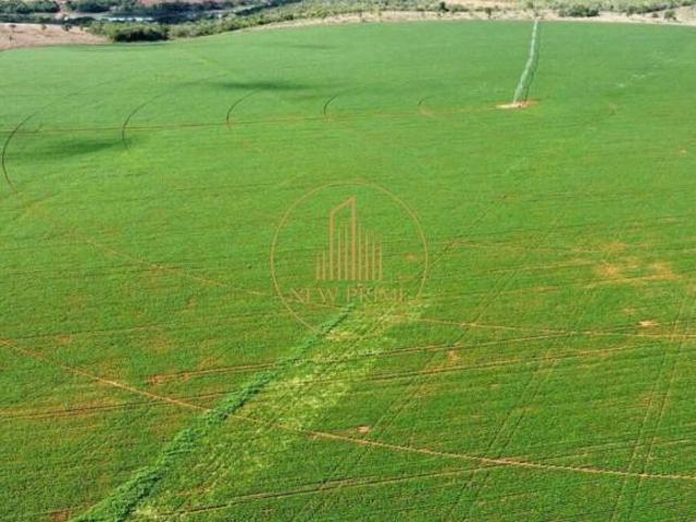 Sítio e chácara venda em Região Geográfica Imediata de Abaeté, Morada Nova de Minas
