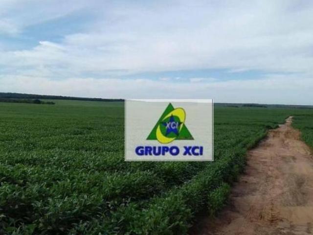 Sítio e chácara venda em Região Geográfica Imediata de Água Boa, Ribeirão Cascalheira