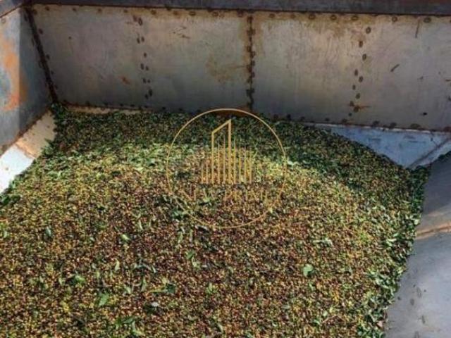 Sítio e chácara venda em Jequitinhonha, Região Sudeste