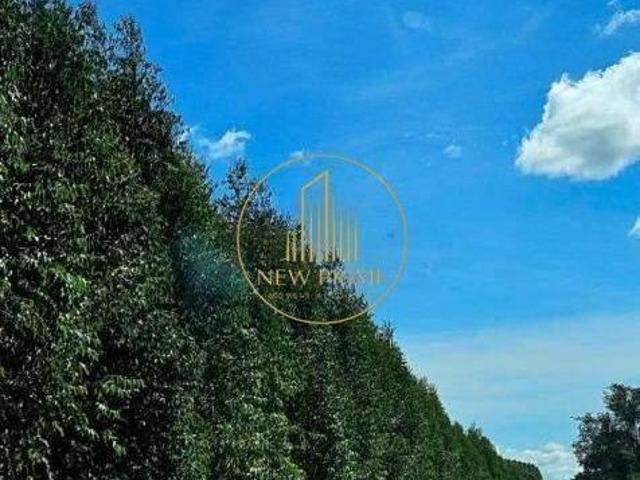 Sítio e chácara venda em Região Geográfica Imediata de Montes Claros, Montes Claros
