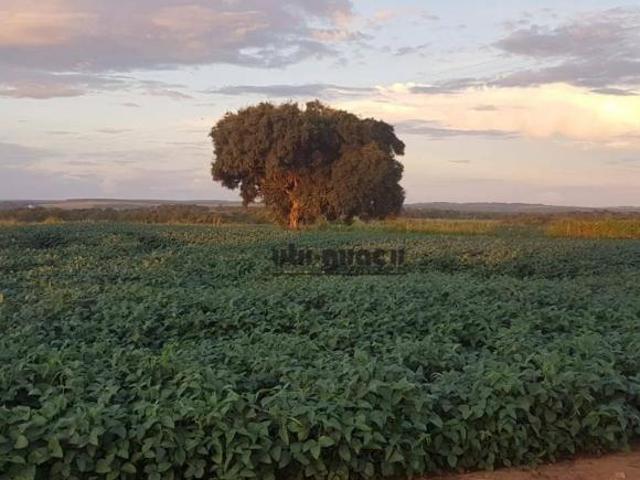 Sítio e chácara venda em Região Imediata de Avaré, Paranapanema