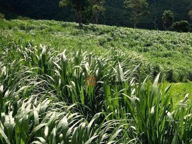 Sítio e chácara venda em Região Imediata de São José dos Campos, Região Metropolitana do Vale do Paraíba e Litoral Norte