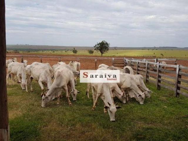 Sítio e chácara venda em Região Imediata de Presidente Prudente, Presidente Prudente