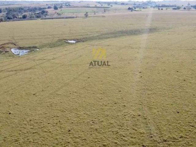 Sítio e chácara venda em Palmeira d'Oeste
