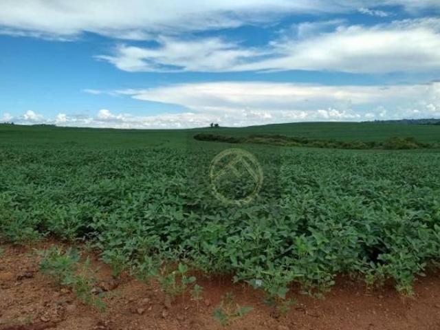 Sítio e chácara venda em Região Geográfica Imediata de Guarapuava, Guarapuava