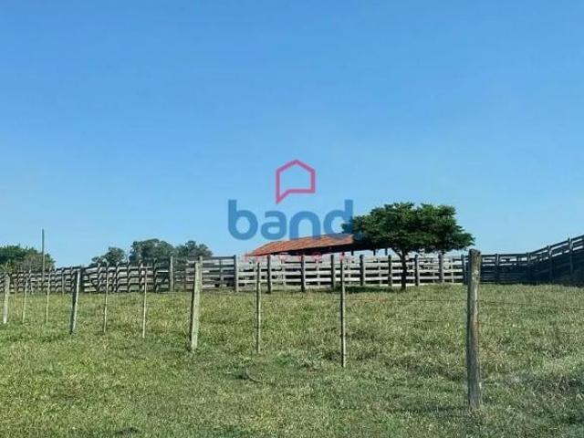 Sítio e chácara venda em Cesário Lange