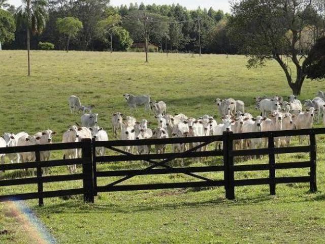 Sítio e chácara venda em Itapetininga