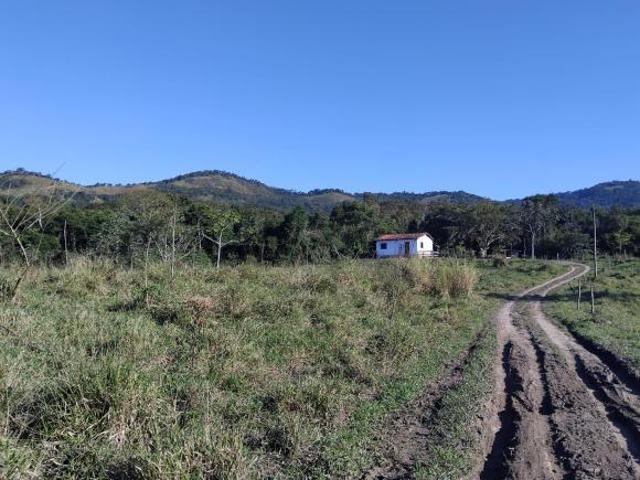 Sítio e chácara venda em Vila Jaguari, Eldorado