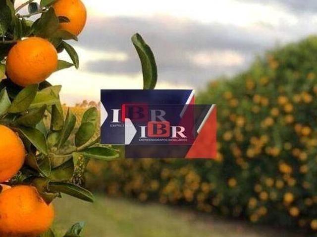 Sítio e chácara venda em Região Imediata de São João da Boa Vista, Aguaí