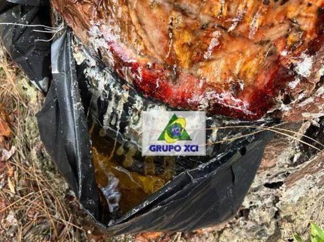 Sítio e chácara venda em Região Imediata de São Paulo, Região Metropolitana de São Paulo