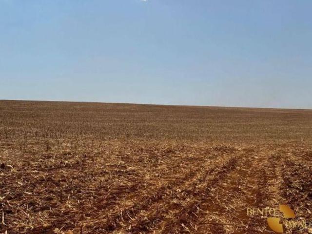 Sítio e chácara venda em Região Geográfica Imediata de Sorriso, Nova Mutum