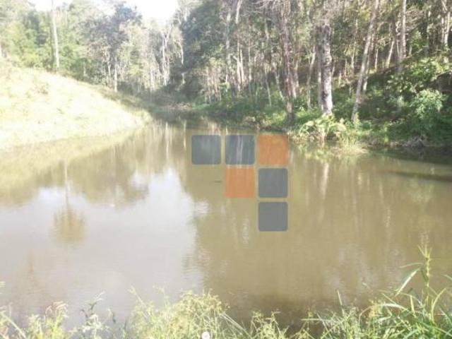 Sítio e chácara venda em Região Geográfica Imediata de Belo Horizonte, Região Metropolitana de Belo Horizonte
