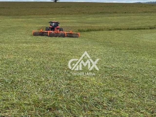 Sítio e chácara venda em Região Geográfica Imediata de Ibaití, Japira