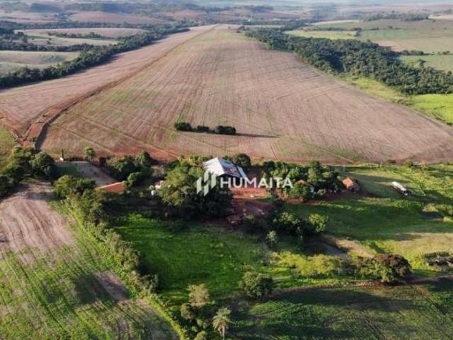 Sítio e chácara venda em Região Geográfica Imediata de Cornélio Procópio-Bandeirantes, Cornélio Procópio