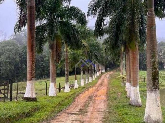 Sítio e chácara venda em Região Imediata de Registro, Sete Barras