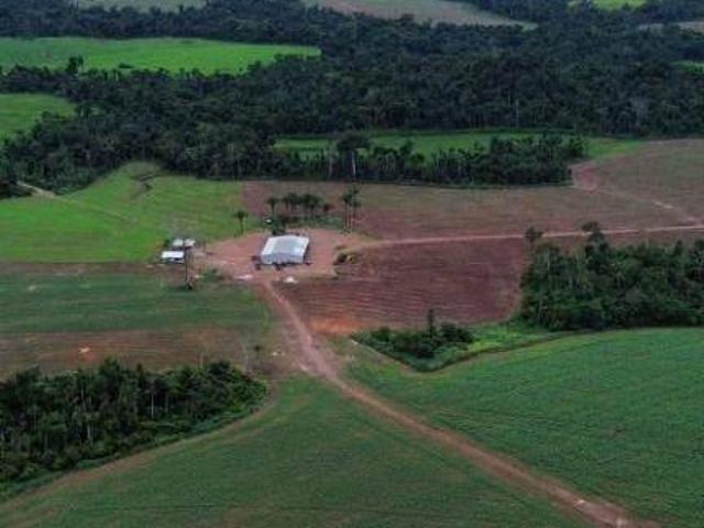 Sítio e chácara venda em Região Geográfica Imediata de Alta Floresta, Alta Floresta