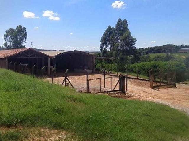 Sítio e chácara venda em Região Imediata de Itapeva, Buri