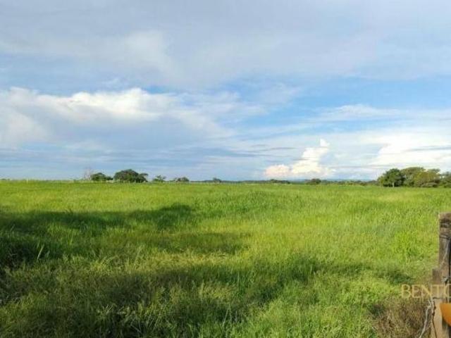 Sítio e chácara venda em Região Geográfica Imediata de Cuiabá, Jangada