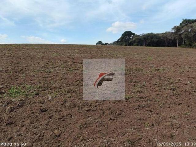 Sítio e chácara venda em Região Geográfica Imediata de Curitiba, Região Metropolitana de Curitiba