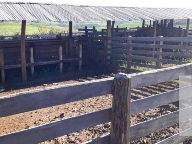 Sítio e chácara venda em Região Geográfica Imediata de Telêmaco Borba, Ortigueira
