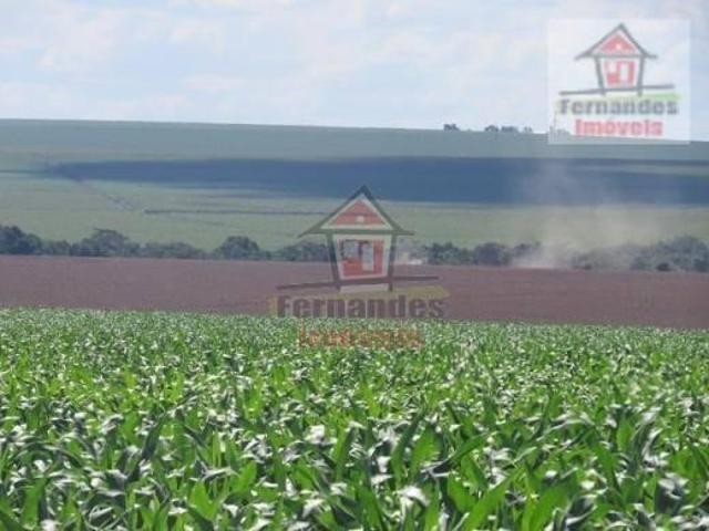 Sítio e chácara venda em Região Geográfica Imediata de Dourados, Dourados