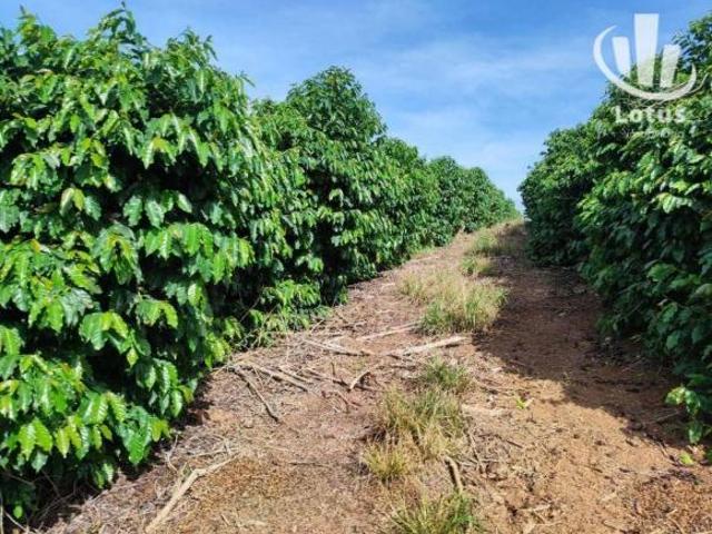 Sítio e chácara venda em Região Geográfica Imediata de Alfenas, Divisa Nova