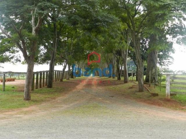 Sítio e chácara venda em Jardim Tonico Vieira, Quadra