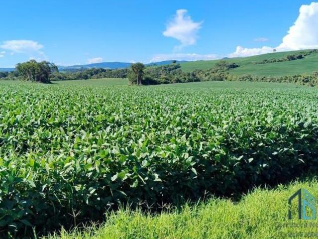 Sítio e chácara venda em Região Geográfica Imediata de Ponta Grossa, Ivaí