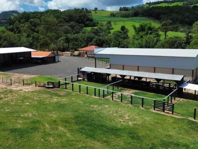 Sítio e chácara venda em Região Geográfica Imediata de Ponta Grossa, Ivaí