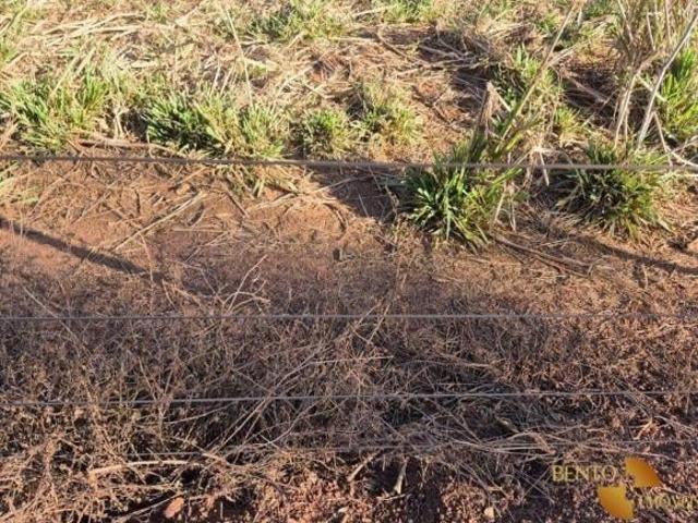 Sítio e chácara venda em Região Geográfica Imediata de Cuiabá, Jangada