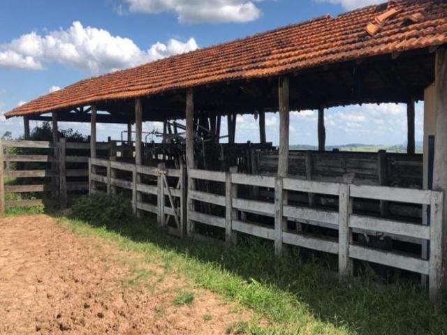 Sítio e chácara venda em Região Imediata de São João da Boa Vista, Casa Branca
