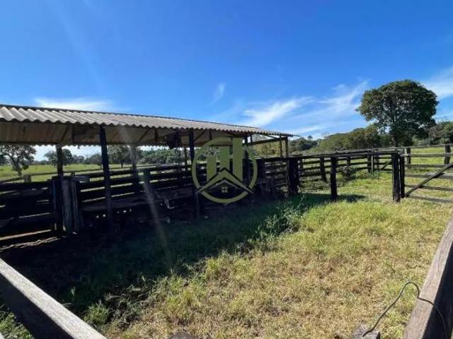 Sítio e chácara venda em Região Geográfica Imediata de Paranaíba - Chapadão do Sul - Cassilândia, Inocência
