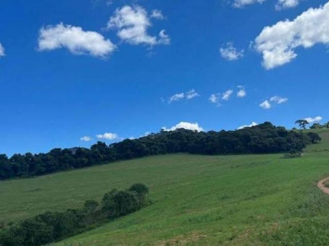 Sítio e chácara venda em Ipeúna