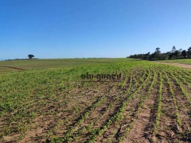 Sítio e chácara venda em Região Imediata de Itapetininga, Região Metropolitana de Sorocaba