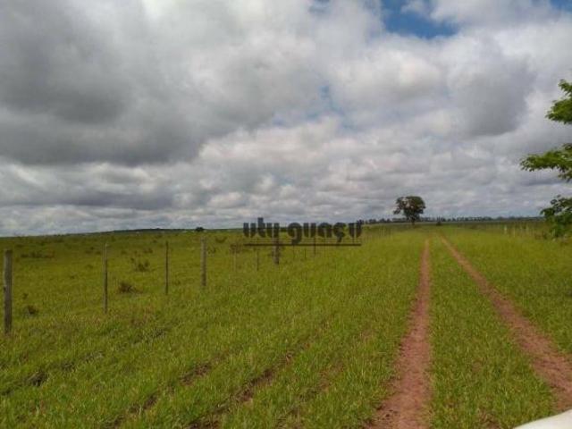 Sítio e chácara venda em Região Geográfica Imediata de Campo Grande, Campo Grande