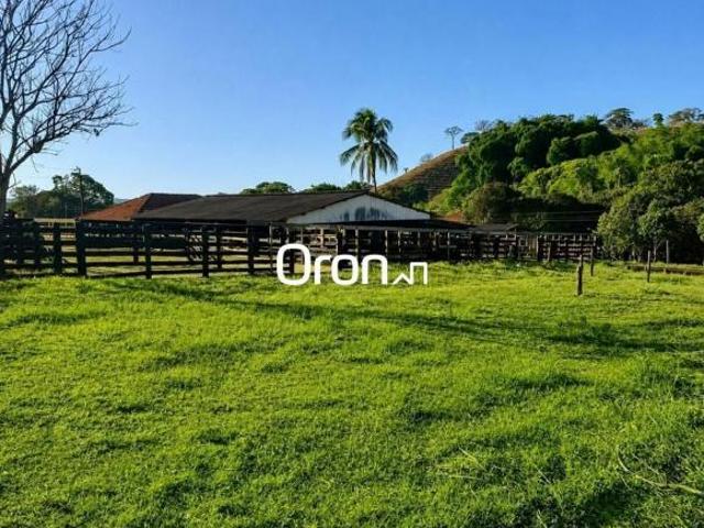 Sítio e chácara venda em Jardim Goiás, Goiânia