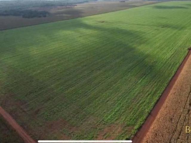 Sítio e chácara venda em Região Geográfica Imediata de Água Boa, Canarana