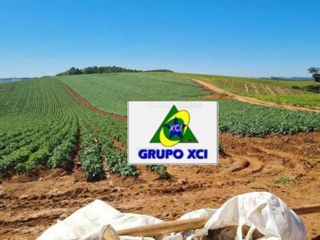 Sítio e chácara venda em Região Geográfica Imediata de Caxambu - Baependi, Cruzília