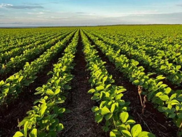 Sítio e chácara venda em Região Geográfica Imediata de Barra do Garças, Barra do Garças