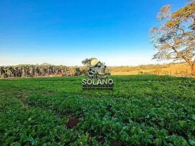 Sítio e chácara venda em Chácaras Helou, Goiânia